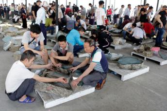 Buyers examine jade stones on sale displayed prior to an auction during the March Gems Emporium in Naypyitaw, Myanmar, 12 March 2019. The Gems Emporium runs from 11 March to 20 March 2019. Photo: Hein Htet/EPA