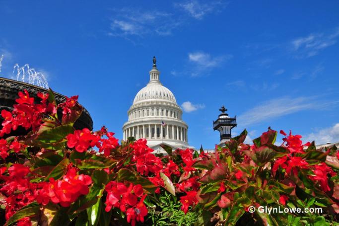 Capitol Hill, Washington DC, United States. Photo: Glynn Lowe