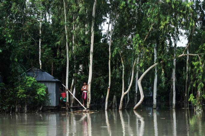 In this photograph taken on July 25, 2019, a resident stands platform near a house in a flood afected area following monsoon rain in Kurigram district. At least 104 people were killed in floods in Bangladesh as the low-lying delta country is reeling from one of the worst monsoons in years, officials said on July 26. Photo: AFP