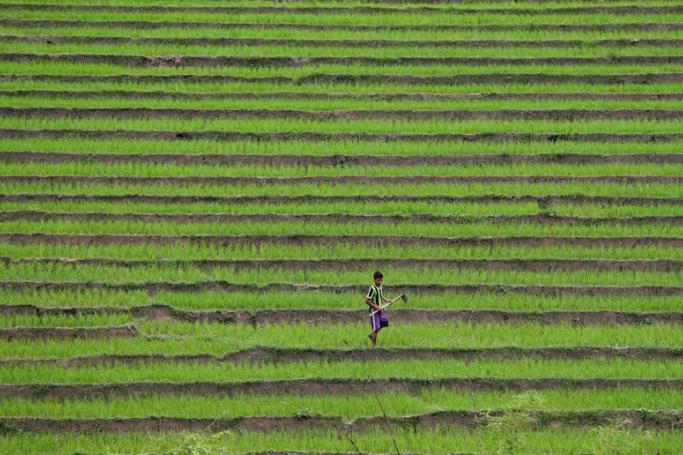 A man works with hoe as he adjusts the surface of a terrace farm at Mong Khet township in Eastern Shan State. Photo: Lynn Bo Bo/EPA