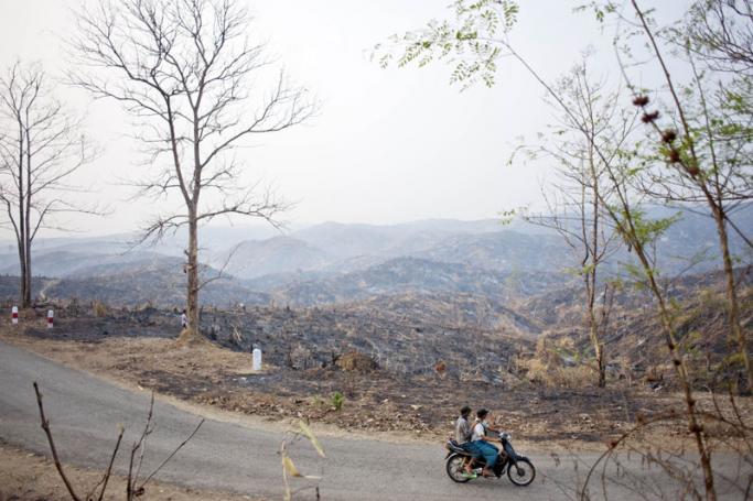 People ride a bike past burnt a teak tree forest in Bago region. Photo: Ye Aung Thu/AFP
