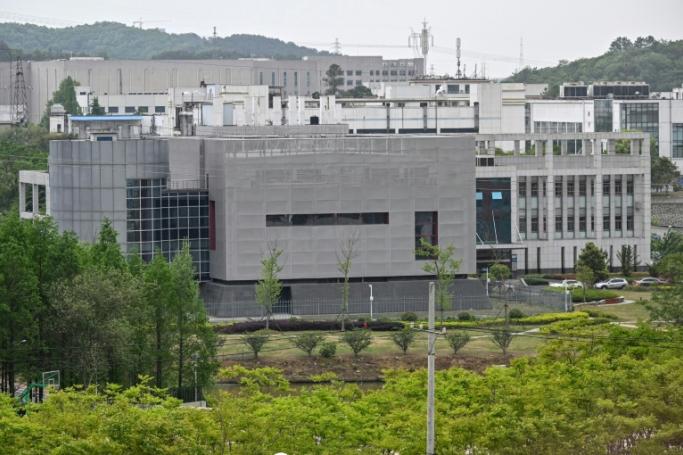 The existence of the lab has fuelled conspiracy theories that the germ spread from the Wuhan Institute of Virology, specifically its P4 laboratory (AFP Photo/ Hector RETAMAL)