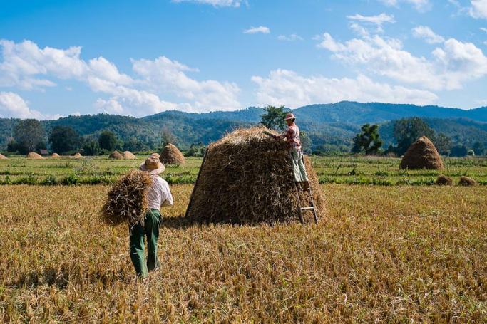 Farmers at work on the outskirts of Hsipaw, Shan State, Myanmar. Photo: Jari Anttonen/Flickr
