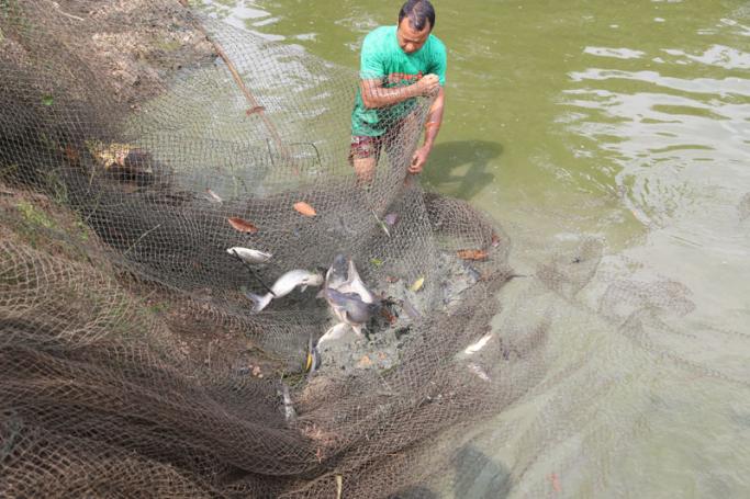 Fish ponds in Yangon. Photo: Mizzima
