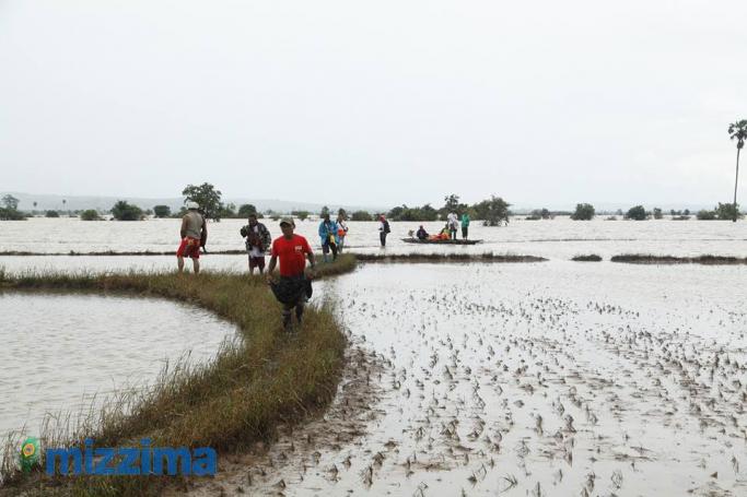 Heavy rains flood the rice fields in Kawlin Township, Sagaing Region on July 29, 2015. Photo: Hong Sar/Mizzima
