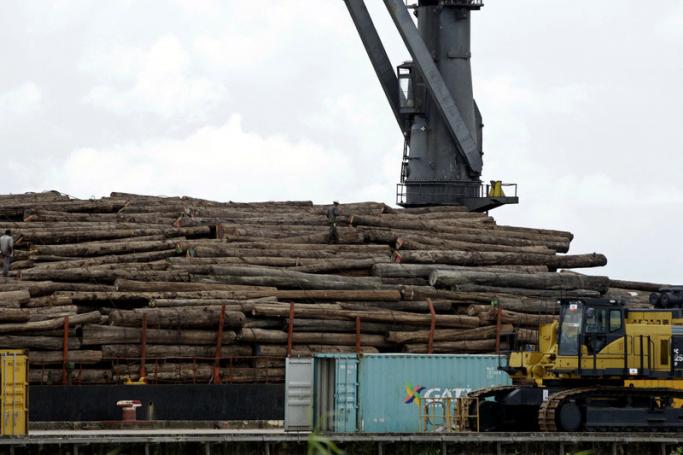 Workers walk on teak wood logs which are loaded on a ship at the Thilawa port, Yangon. Photo: EPA/File