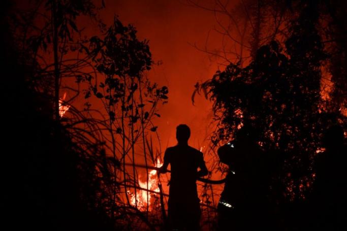 The culprit behind the smog-belching blazes raging in Indonesia are usually illegal fires set to clear land for farming. (AFP/File / ADEK BERRY)