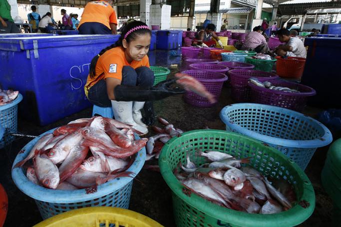 Myanmar migrant workers sorting fish at the fishing port in Ranong, bordering Myanmar, southern Thailand. Photo: EPA
