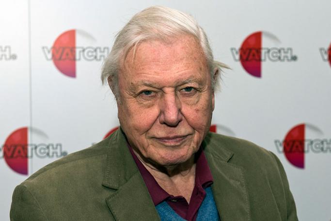 British broadcaster and naturalist Sir David Attenborough. Photo: EPA
