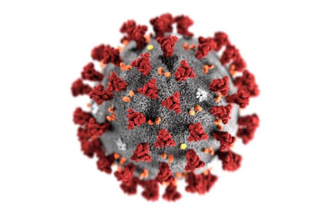 This CDC illustration reveals ultrastructural morphology exhibited by coronaviruses. Alissa Eckert, Dan Higgins/CDC