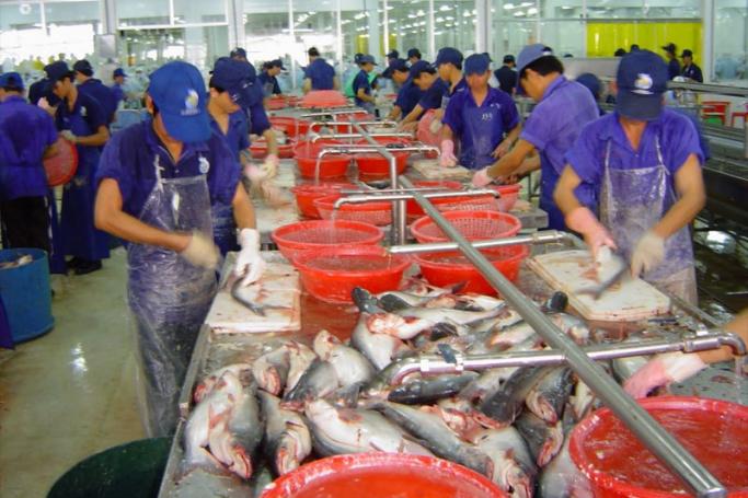Workers processing fish at a marine product industry. Photo: MNA