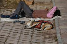 In this picture taken on January 29, 2022, shows a stray dog wearing warm covering sleeping besides a homeless man along a sidewalk in New Delhi. Photo: AFP