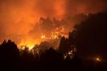 The trees above the road of the forested peaks of Valleseco are engulfed in flames during the new forest fire that broke out just days after another blaze raged in the same area, in the Grand Canary Island of Spain. Photo: AFP