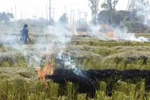 Stubble burning after harvesting paddy crops is blamed for much of the pollution that regularly cloaks New Delhi (Photo: AFP)