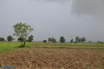 Farmland in Ayeyarwady region. Photo: Mizzima
