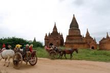 Foreign tourists ride on bullock carts and a horse-drawn carriage in Bagan. Photo: Rungroj Yongrit/EPA
