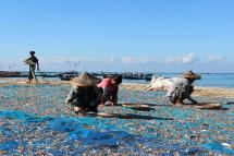 Local women in Thandwe township in Rakhine State lay the fish out to dry in the sun. Photo: Ei Cherry Aung/Myanmar Now
