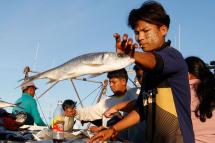 Myanmar migrant workers employed on fishing boats unload fish in Phuket, southern Thailand. Photo: Barbara Walton/EPA
