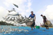 RESTRICTIONS AND DISPOSSESSION – Fishermen and women face restrictions following the building of the Khaukphyu Deep Sea Port that makes it illegal to fish in their traditional fishing grounds because Chinese tankers are using the port. Photo: EPA 