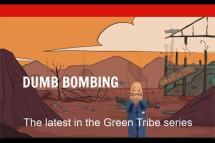 Embedded thumbnail for Dumb Bombing - Green Tribe
